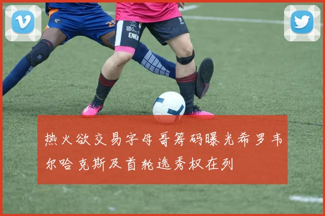 热火欲交易字母哥筹码曝光希罗韦尔哈克斯及首轮选秀权在列