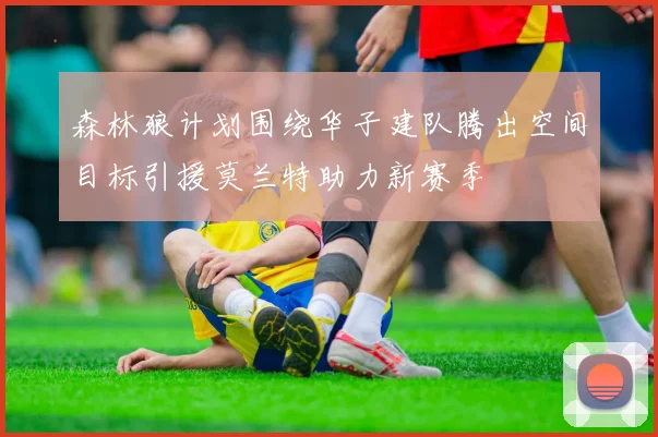 森林狼计划围绕华子建队腾出空间目标引援莫兰特助力新赛季