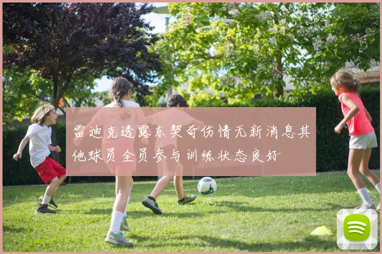 雷迪克透露东契奇伤情无新消息其他球员全员参与训练状态良好